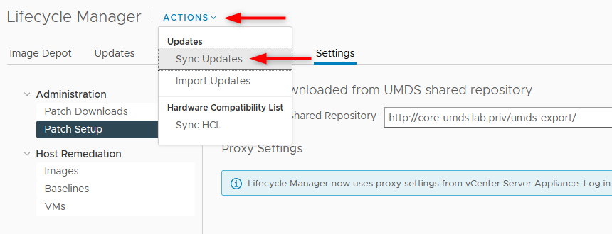 synchronize the update in Lifecycle Manager